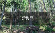 称重器的梦境:在娇嫩的手指上挂起,滑动着,闪烁出美丽的光芒