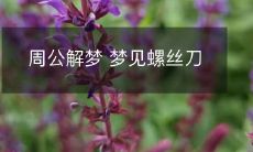 周公解梦:详解如何解读梦中螺丝刀的意义与象征意味