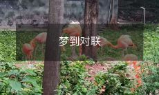 昨晚梦见写出了一副完美的对联,让我深陷于对仗的魔力之中!