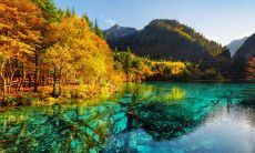 探究太阳摩羯、月亮射手的性格特点,分析其优缺点