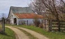 2023年生肖兔的风水大利方向是什么?东南方在这一年是否会带来好运?