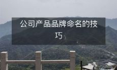 探究公司产品品牌命名的技巧和方法,以帮助企业建立一个成功的品牌名称!