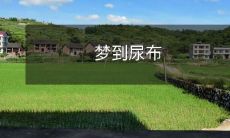 穿戴尿布的梦境启示:关于成长、自我接纳和面对生活挑战的反思与觉醒经验