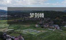 飘荡的日本幡,留在我的梦中:回忆中的东瀛美景和文化传统