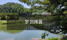 梦到浓郁香辣的辣酱,口感鲜美而令人难忘的梦境