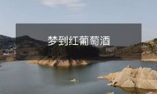 在梦中品尝红色的葡萄酒,感受美酒芳香和细腻口感的奇妙体验