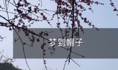 在梦中看到帽子,仿佛预示着某种未知的命运转折点