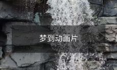中的我:与梦境中的卡通人物相遇的奇妙经历