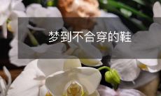 做梦时穿着不合脚的鞋子,步履蹒跚,寓意何在?