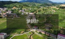 线,究竟预示着什么?探寻梦境世界中针和线的象征意义和可能的暗示