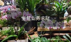 希望通过有效生意业务实现财务自由的经济愿望