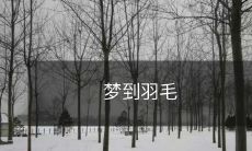 缔造美妙梦境,轻轻飘落的羽毛为你献上浪漫静谧之夜