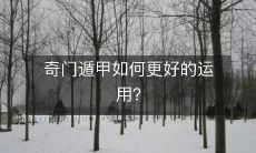 探究奇门遁甲的使用技巧及方法,提高其应用效果