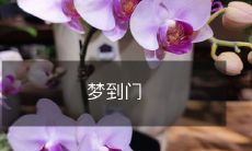 梦见門:探索潜意识中的过去、现在和未来,解读人生的机遇、挑战以及心灵的疑惑