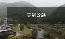 梦中与公牍相会:探索梦境与现实交错的奥秘