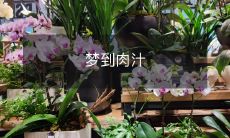 梦见满口肉汁美味的美食,让我快速进入幸福的世界