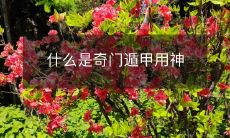 解析,以及如何根据奇门遁甲用神做出吉凶判断?