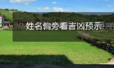 通过姓名的偏旁来预测吉凶,揭示人生命运的神秘面纱