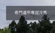 奇门遁甲大师教你如何精准捕捉难缠的冷马!