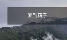 中装满了珍贵回忆和深埋的秘密:追溯往昔,探寻自我——让梦中的箱子带你重温人生岁月