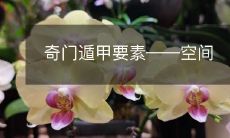 掌握奇门遁甲的关键——深入探讨其空间要素