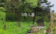 探寻古墓秘密:揭秘三位异乎寻常的墓主人入墓传奇