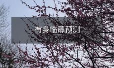 经验的孕妇:通过过往的生育经历,准确预测即将到来的分娩过程