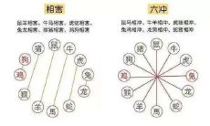 详解2022年9月16日属相相冲现象:今日冲什么?属什么生肖受影响?