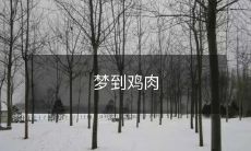 的寓意是什么,这个梦境与个人的情感和生命有何关联?