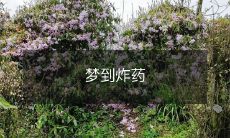 自己在梦中亲身体验了的不同类型爆炸物品所带来的物理和情感冲击:从烟花燃放到炸弹爆炸,一次充满震撼与危险的虚拟体验