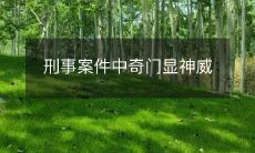 揭露刑事案件中神奇的策略和技巧,彰显其惊人威力