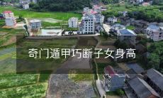 采用奇门遁甲预测的方法,巧妙决定子女身高的干支命盘排盘技术