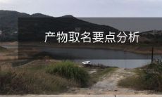 关于取名产物的要点进行深入剖析与探讨