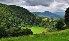 在家中怎样布置和摆放招财金蟾才能够为个人和家庭带来财运和好运?