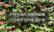 以磊落输赢著称,不屑于斗心计谋的星座排行榜