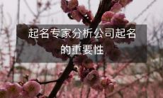 深度解析:为什么起名是一家公司成败的关键,起名专家揭示公司起名的重要性与成功之路