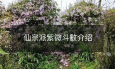 深入探究仙宗派中的紫微斗数,了解其源流、理论、应用及其介绍