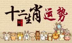 2023年1月31日最新小运播报:特吉生肖运势详细解析!