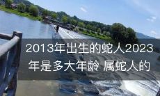 蛇年出生者的年龄计算及其所具备的优缺点分析:以2013年出生的蛇人为例,探讨其在2023年时的年龄,以及属蛇人的个性特点、优点和缺点