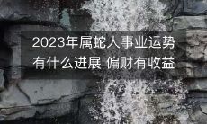 2023年属蛇人事业发展状况如何?偏财是否有可观的收益表现?