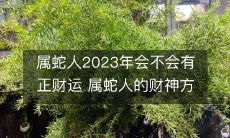2023年属蛇人的正财运如何?如何发掘属蛇人的财神方位?