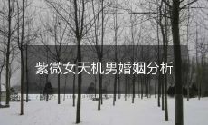 紫微女和天机男的婚姻分析:探究星座性格、命盘互相影响,预测婚姻走向及关键因素