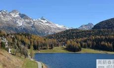 白羊座2021年11月完整运势报告:运程详解、星座分析及事业、感情展望!