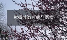 紫微斗数:八字断病、八字医病,探究生辰八字与身体健康之间的关系