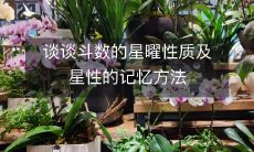 探讨斗数学中星曜属性和记忆技巧,以帮助理解和应用星宿影响因素