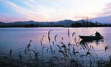 经过星座学分析,白羊座的天生恋人是哪些星座?