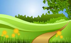 2022年虎年宝宝出生,如何根据出生时间取名获得高分好名?一份详尽解析!