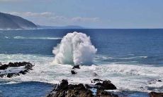 探讨女性命格与婚姻关系:白蜡金女的姻缘究竟如何?