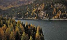 从八字命理角度探究女性正财命盘中年柱所代表的特征和表现