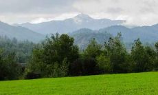 2020年农历十月二十七宝宝的五行格局是如何的?命运究竟好不好?他们可能会面临哪些五行缺陷?